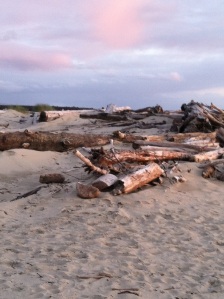 Sun starting to set over driftwood beach in Florence OR